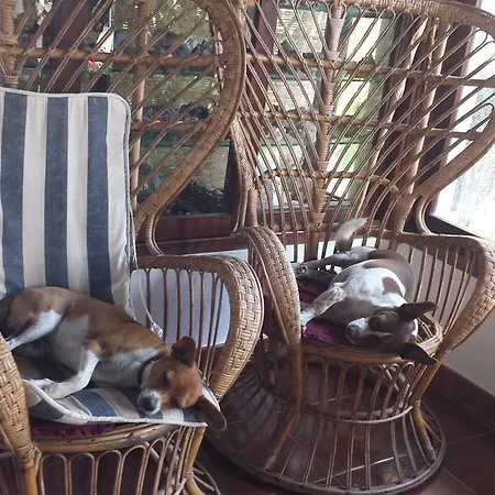 Su Trabi Frühstückspension Fluminimaggiore