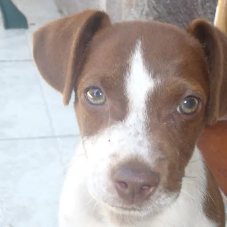 Nocleg ze śniadaniem Su Trabi 3*