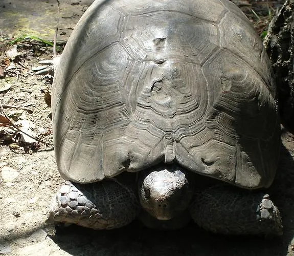 Su Trabi 3* Fluminimaggiore