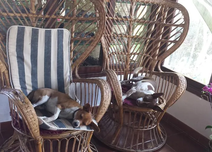 Su Trabi Nocleg ze śniadaniem Fluminimaggiore